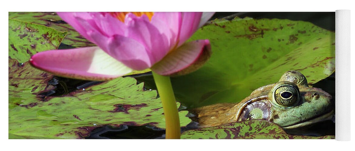 Frog Yoga Mat featuring the photograph Lily and the Bullfrog by Jennifer Robin