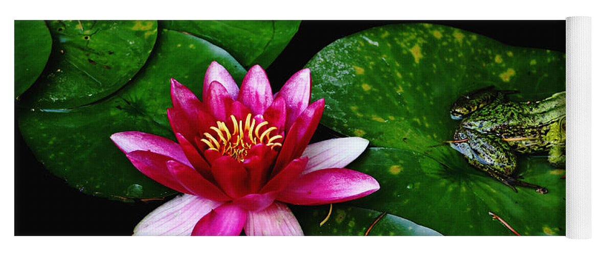 Lily Yoga Mat featuring the photograph Lily And The Frog by Debbie Oppermann