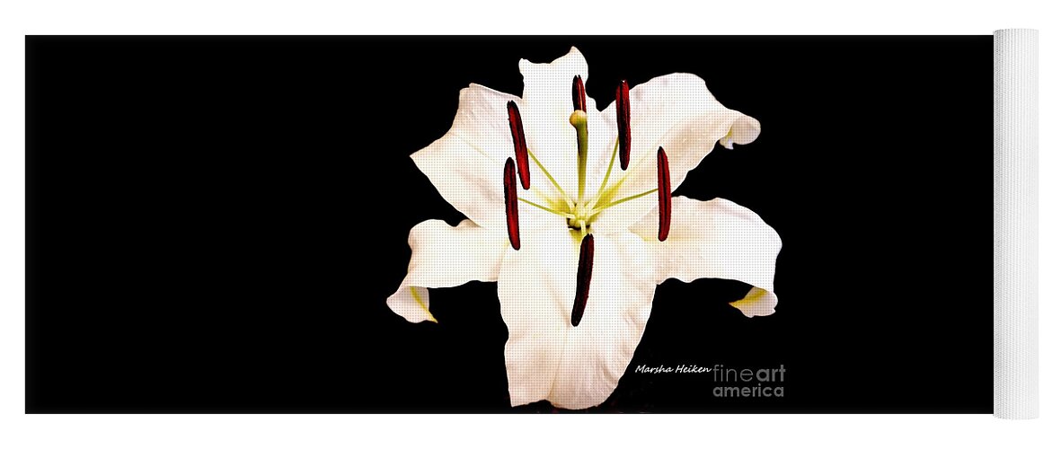 Photo Yoga Mat featuring the photograph Lily On Black by Marsha Heiken