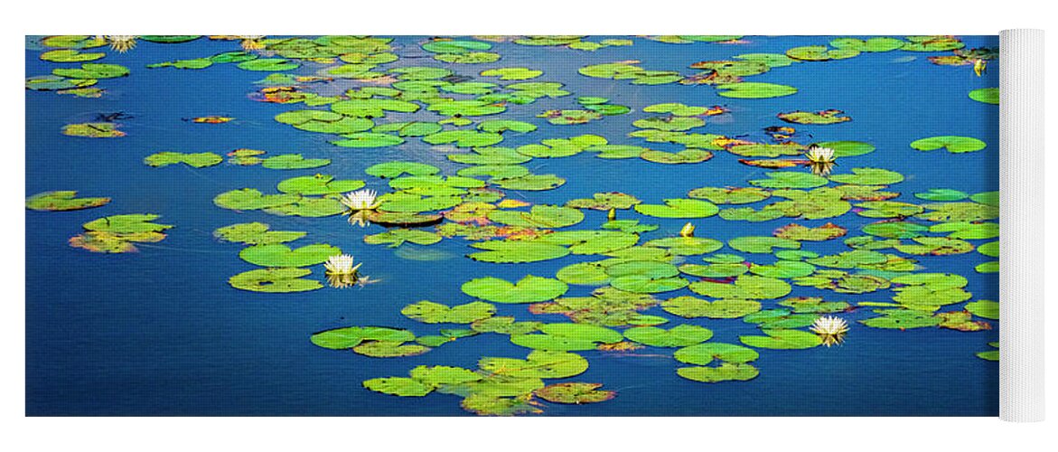 North Port Florida Yoga Mat featuring the photograph Lily Pads by Tom Singleton