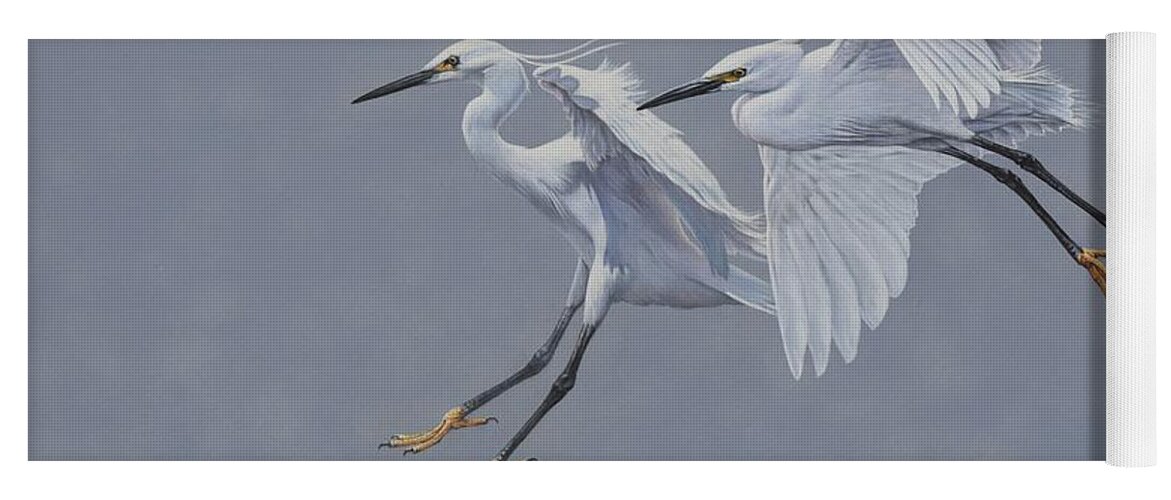 Wildlife Paintings Yoga Mat featuring the painting Little Egrets in Flight by Alan M Hunt