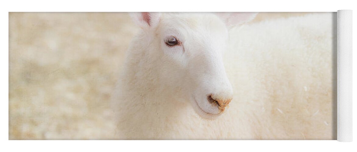 Lamb Yoga Mat featuring the photograph Little Lamb by Eleanor Abramson