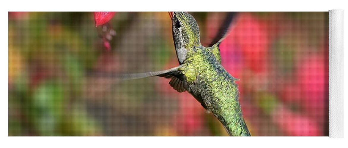 Hummingbird Yoga Mat featuring the photograph Little Wonder by Carolyn Mickulas