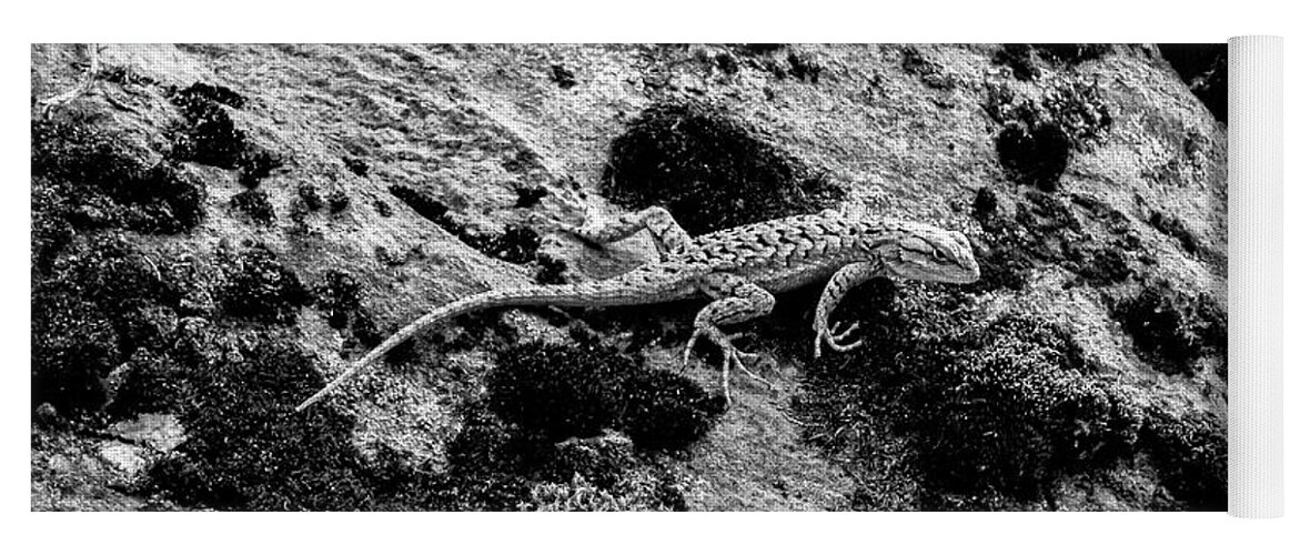 Zion Yoga Mat featuring the photograph Lizard Glance, Black and White by Adam Morsa