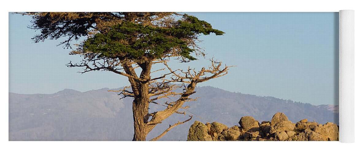 Tree Yoga Mat featuring the photograph Lone Cypress Tree by Brandon Bonafede