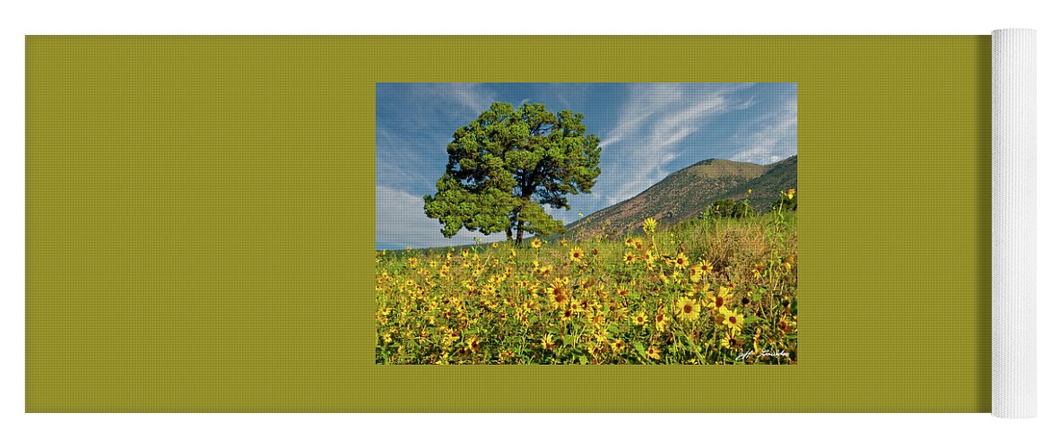 Arizona Yoga Mat featuring the photograph Lone Tree in a Sunflower Field by Jeff Goulden