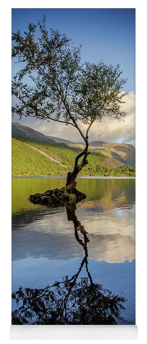 Gwynedd Yoga Mat featuring the photograph Lone Tree, Llyn Padarn by Peter OReilly