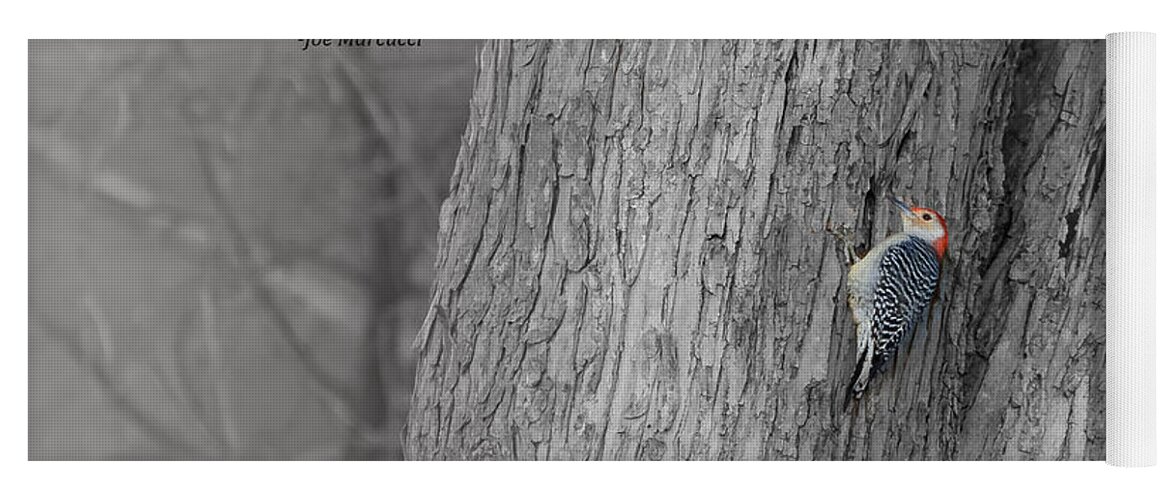 Red-bellied Woodpecker Yoga Mat featuring the photograph Lonely Woodpecker by Holden The Moment