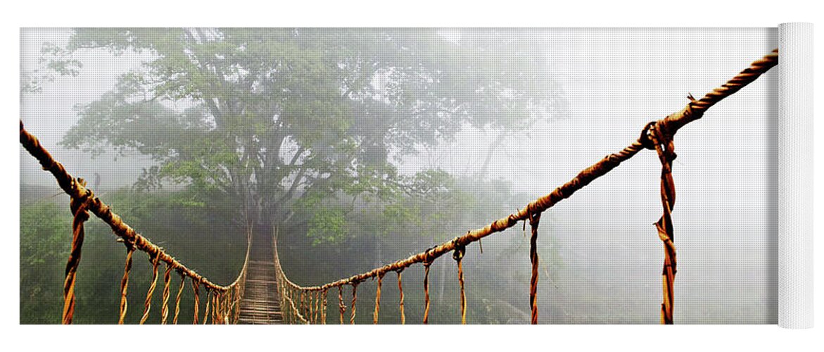 Premium Photo  A bridge in the jungle with a rope bridge in the