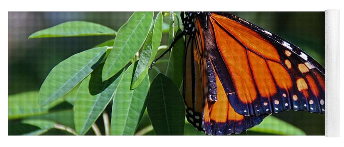 Monarch Yoga Mat featuring the photograph Long-since Retired by Michiale Schneider