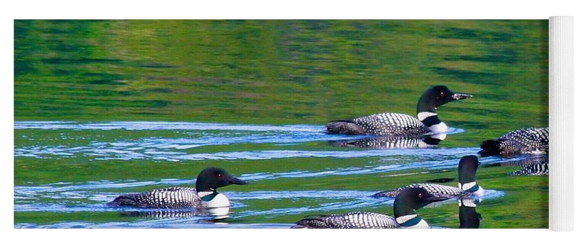  Yoga Mat featuring the photograph Loons in Green Lake by Polly Castor