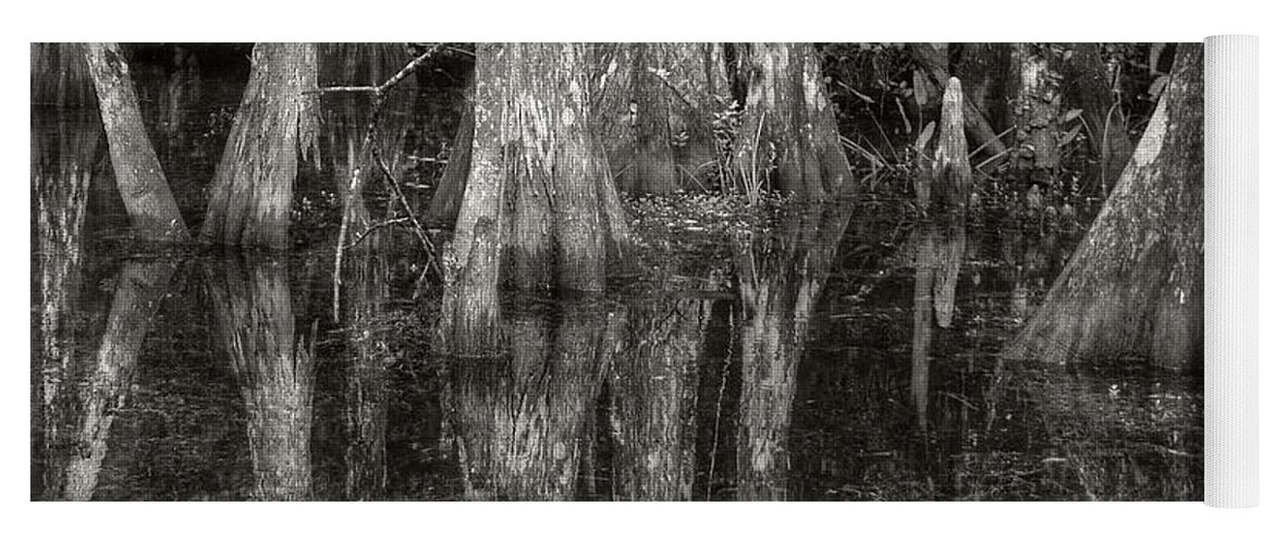  Yoga Mat featuring the photograph Loop Road Swamp #5 by Michael Kirk