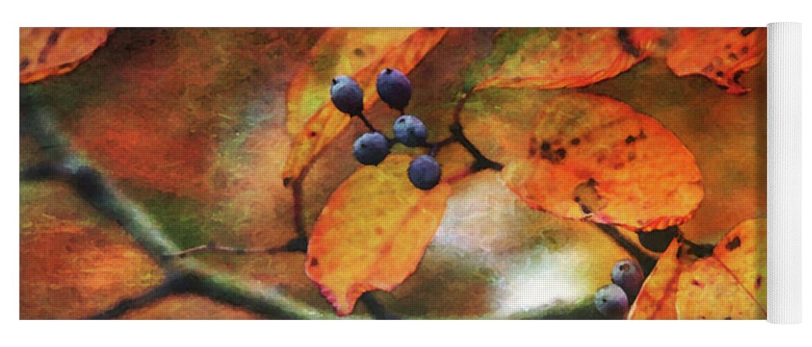 Lost Yoga Mat featuring the photograph Lost Autumns Beauty 6570 LDP_2 by Steven Ward