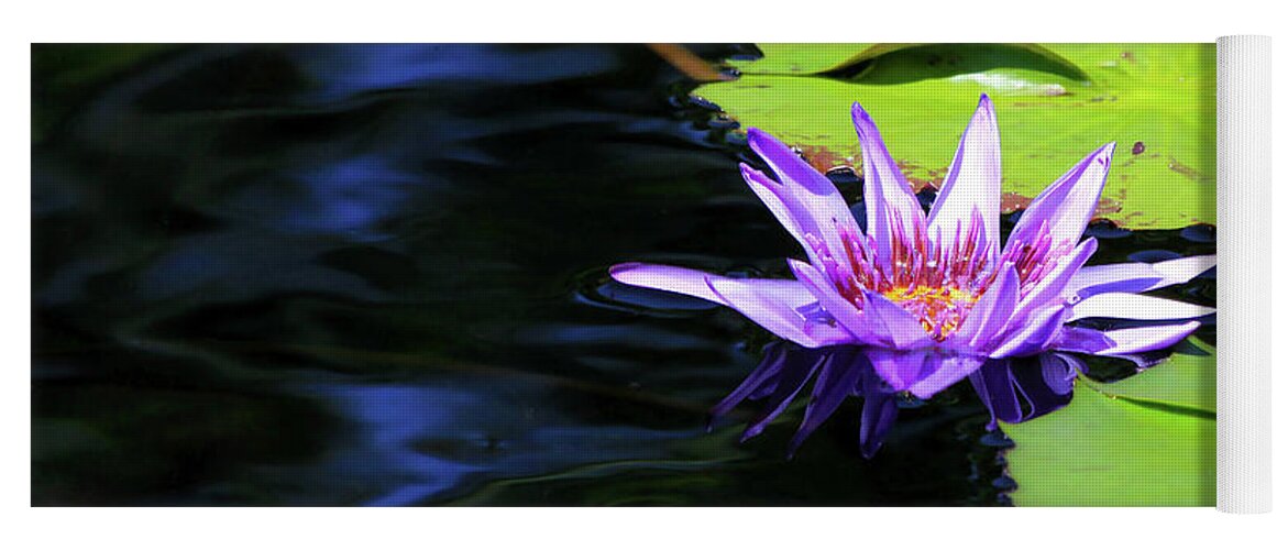 Lotus Yoga Mat featuring the photograph Lotus and Dark Water Refection by Paula Guttilla