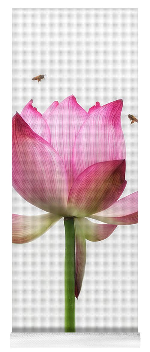 China Yoga Mat featuring the photograph Attraction between the bees and the flower. by Usha Peddamatham