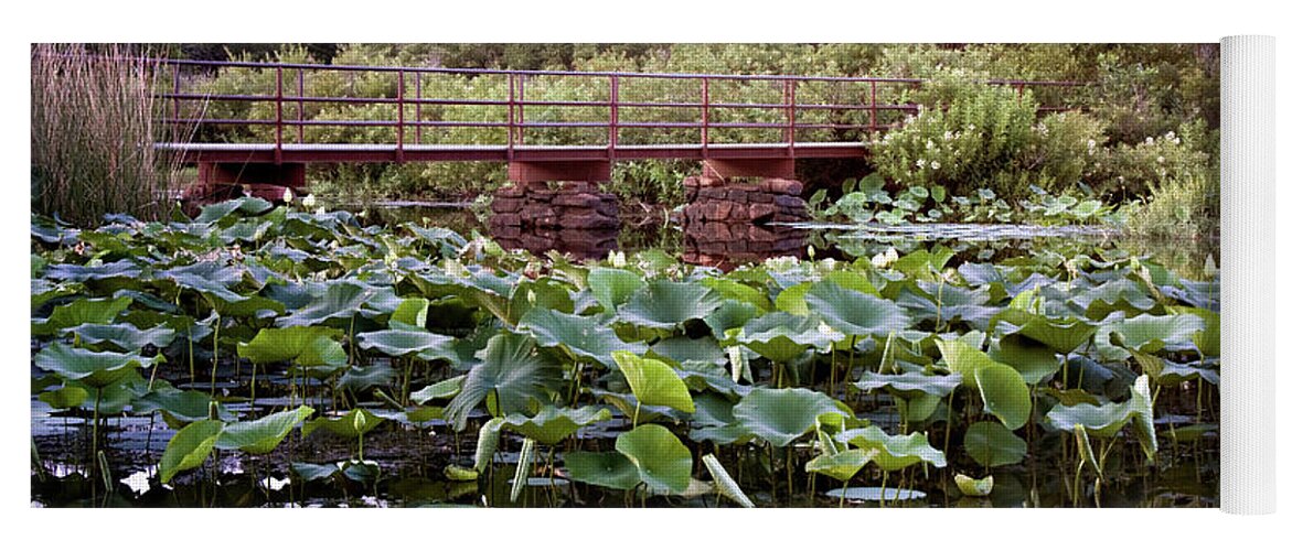 American Lotus Yoga Mat featuring the photograph Lotus Bridge by Lana Trussell