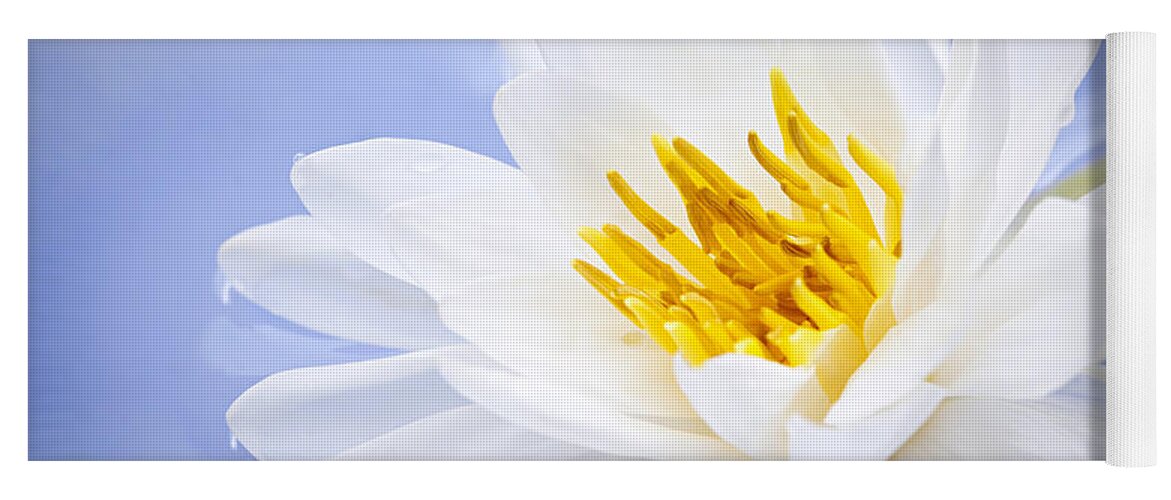 Lotus Yoga Mat featuring the photograph Lotus flower 2 by Elena Elisseeva