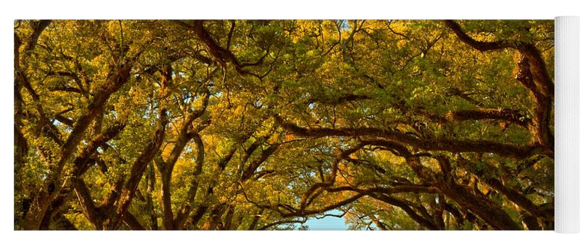 Tunnel Of Oak Trees Yoga Mat featuring the photograph Louisiana Tunnel Of Oaks by Adam Jewell