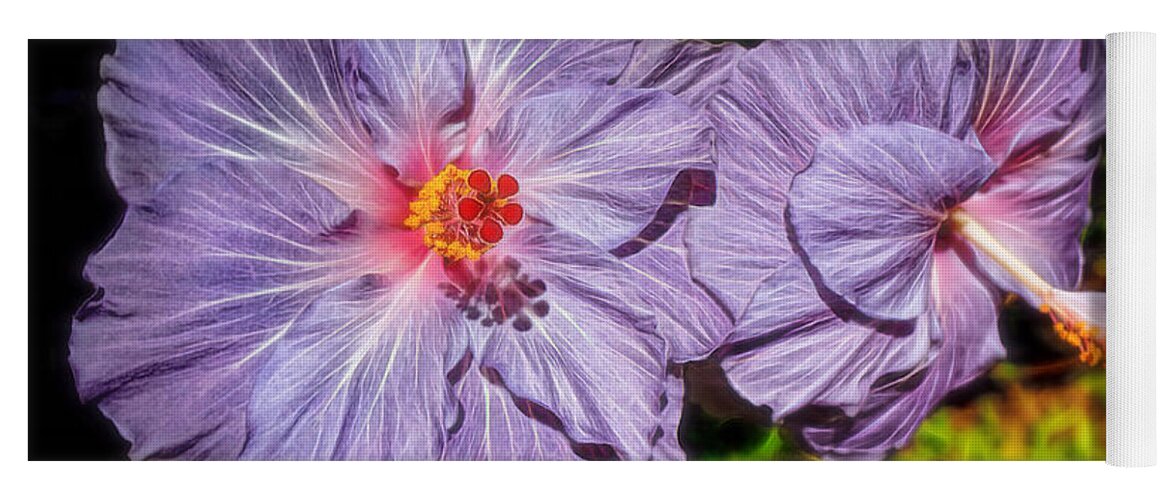 Hibiscus Yoga Mat featuring the photograph Lovely Lavender Hibiscus by Sue Melvin