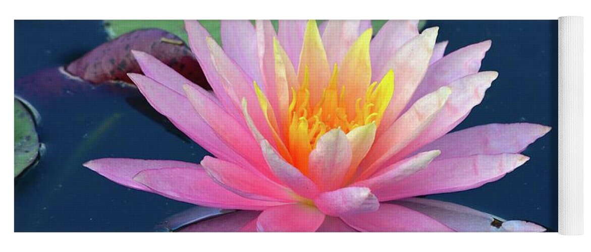 Lily Yoga Mat featuring the photograph Lovely Pink Water Lily by Richard Bryce and Family