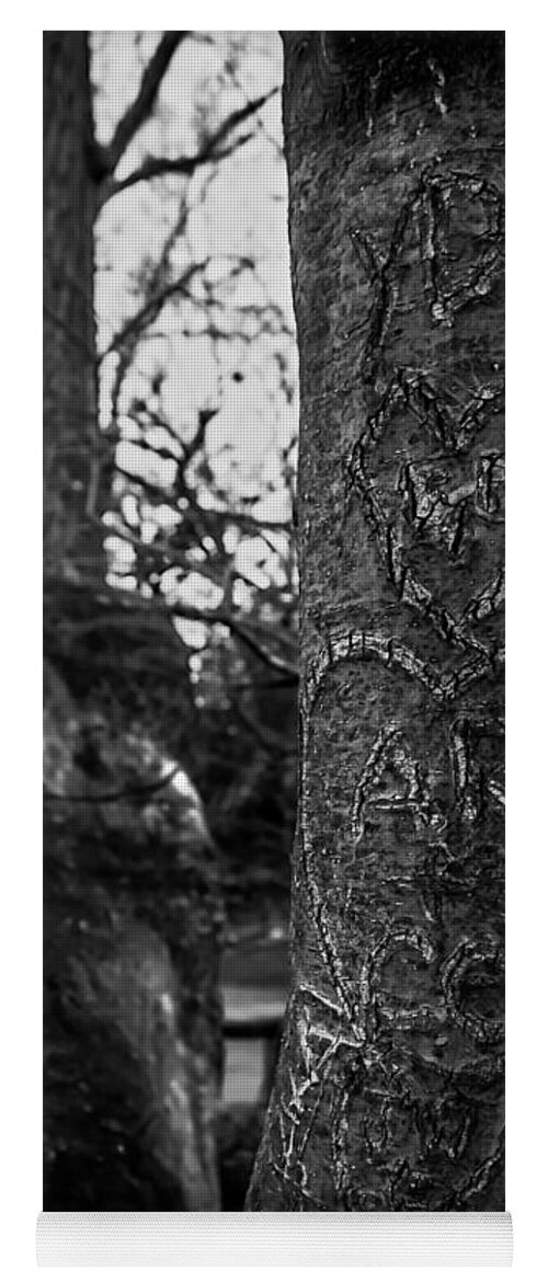 Tree Yoga Mat featuring the photograph Love's Scars in Central Park - BW by James Aiken