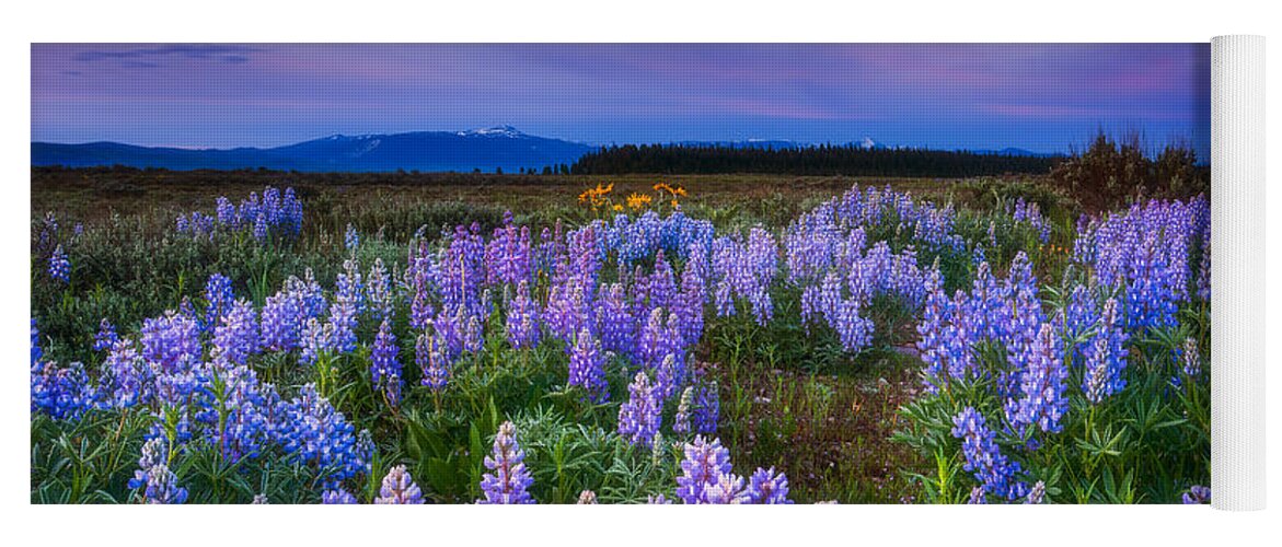 Wildflowers Yoga Mat featuring the photograph Lupine Morning by Darren White