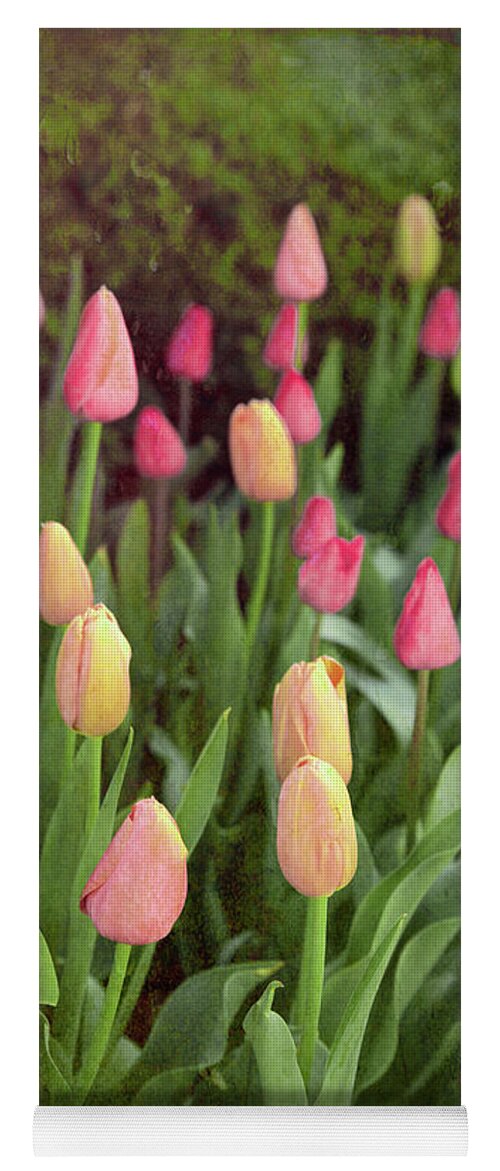 Tulip Yoga Mat featuring the photograph Tulips Starting to Bloom by Lynn Sprowl