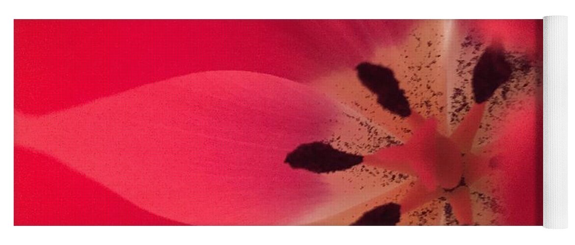 Macro Yoga Mat featuring the photograph Macro Beauty Tulip by Marian Lonzetta