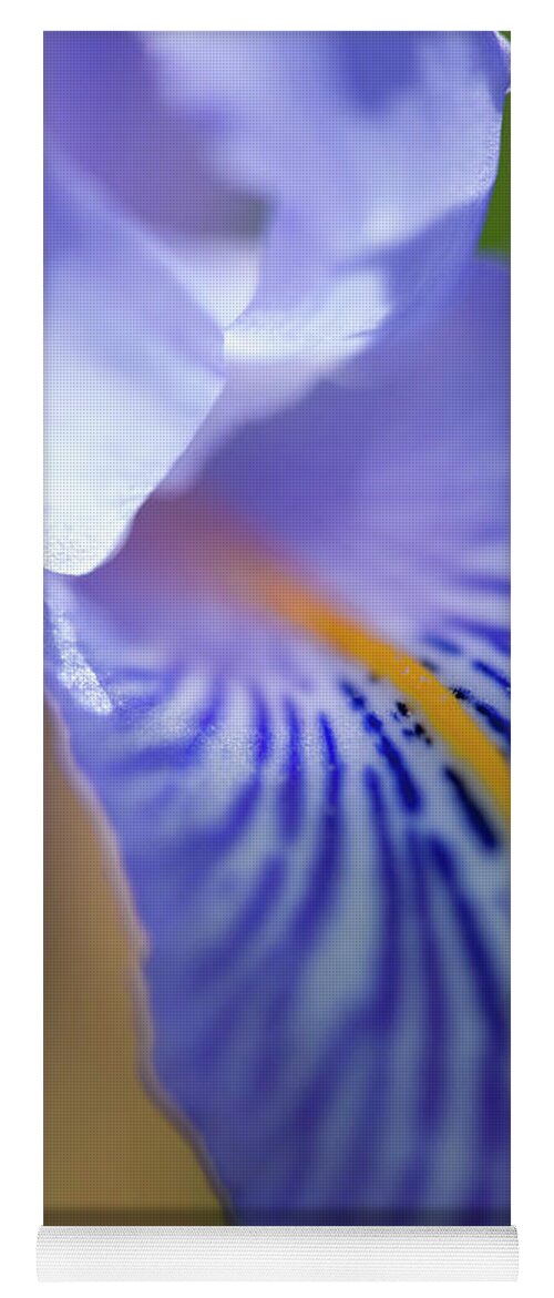 Iris Flower Yoga Mat featuring the photograph Macro Iris Flower Detail by Heiko Koehrer-Wagner