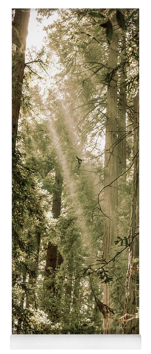 Trees Yoga Mat featuring the photograph Magical Forest 2 by Ana V Ramirez
