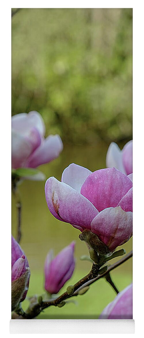 Candid Yoga Mat featuring the photograph Magnolia blossomed by Marina Usmanskaya