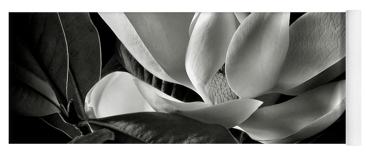 Flower Yoga Mat featuring the photograph Magnolia in Black and White by Endre Balogh