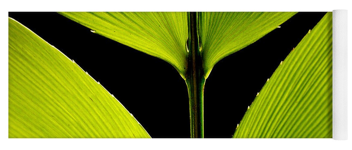 Green Yoga Mat featuring the photograph Malachite Flute by Lorenzo Cassina
