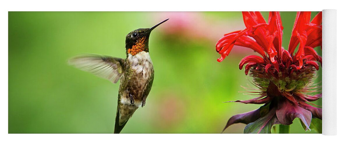 Hummingbird Yoga Mat featuring the photograph Male Ruby-Throated Hummingbird Hovering Near Flowers by Christina Rollo