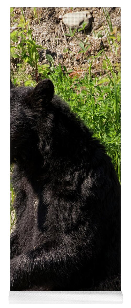 Black Yoga Mat featuring the photograph Mama Black Bear by Louise Magno