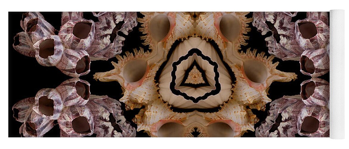 Shells Yoga Mat featuring the photograph Mandala Murex and Barnacle by Nancy Griswold