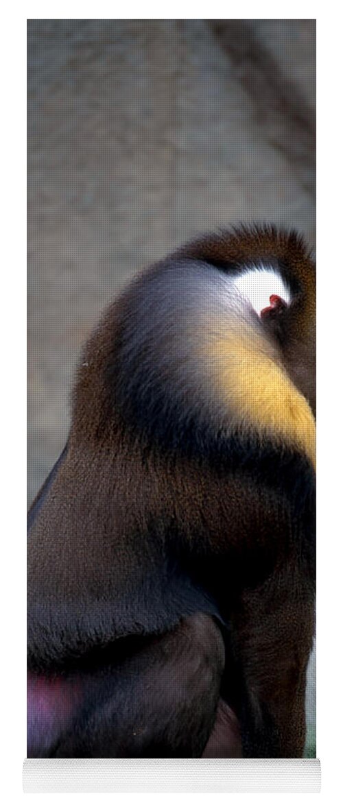 Mammal Yoga Mat featuring the photograph Mandrill by Art Wolfe