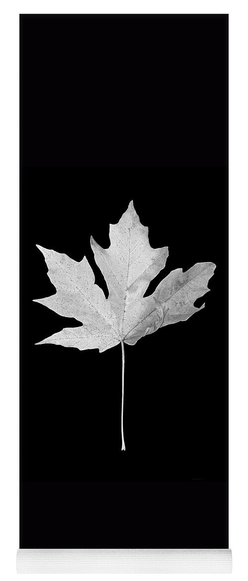 Illustration with a large black-and-white maple leaf on a white