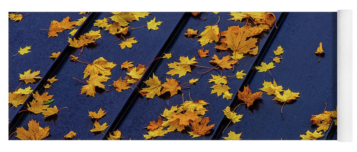 Landscape Yoga Mat featuring the photograph Maple Leaves on a Metal Roof by Joe Shrader
