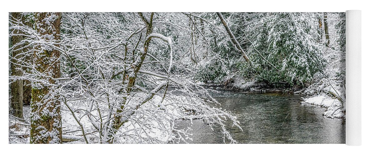 Cranberry River Yoga Mat featuring the photograph March Day along Cranberry River by Thomas R Fletcher