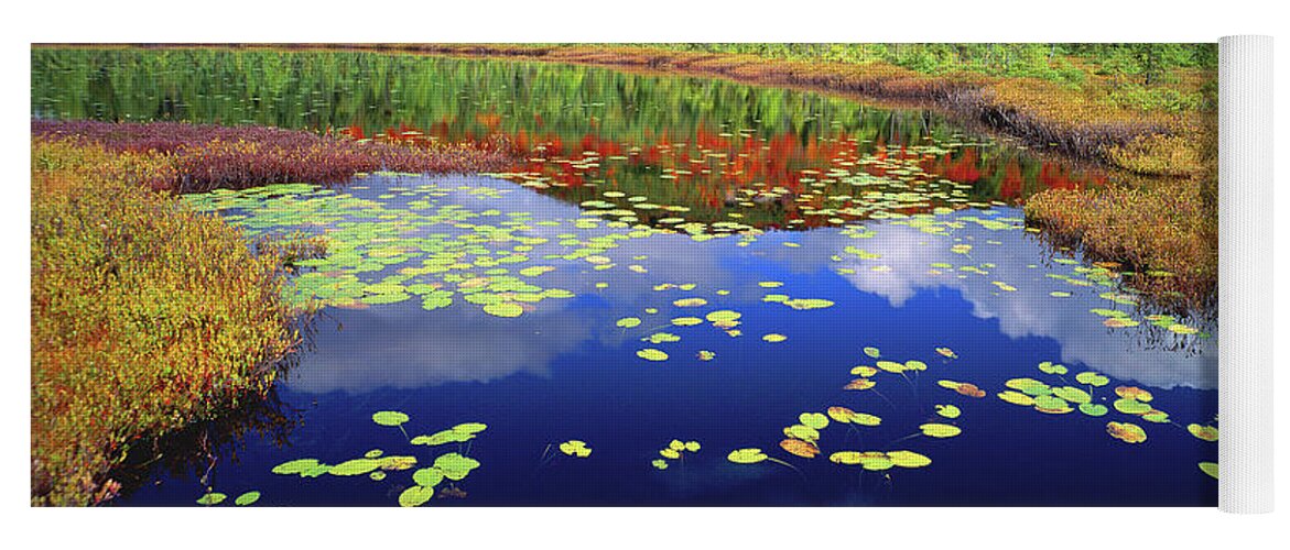 New York Yoga Mat featuring the photograph Marsh Pond by Frank Houck