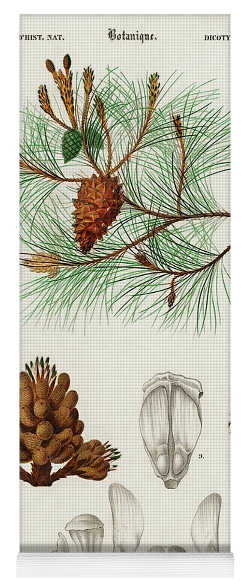 Vintage Yoga Mat featuring the painting Martime pine - Pinus maritima by Vincent Monozlay