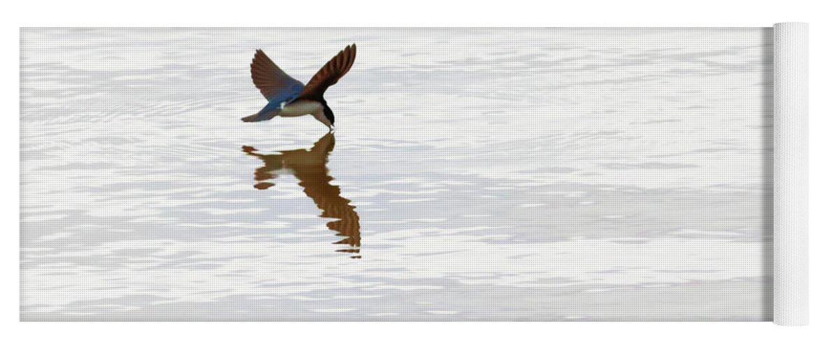 Tree Swallow Yoga Mat featuring the photograph Me and My Shadow by Susan Rissi Tregoning