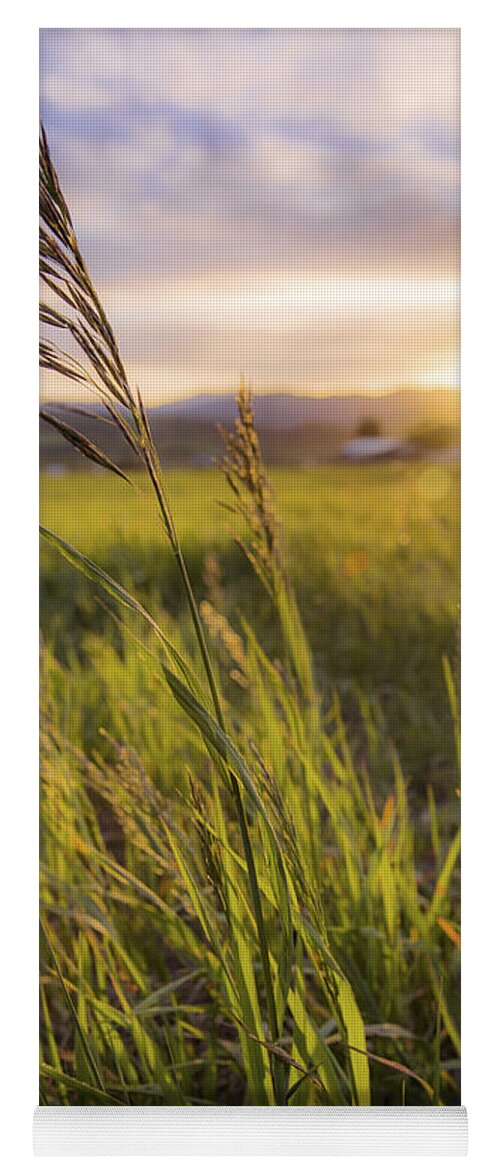 Meadow Light Yoga Mat featuring the photograph Meadow Light by Chad Dutson