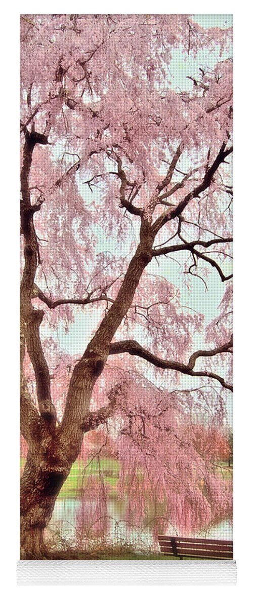 Cherry Blossom Trees Yoga Mat featuring the photograph Meet Me Under The Pink Blooms Beside The Pond - Holmdel Park by Angie Tirado