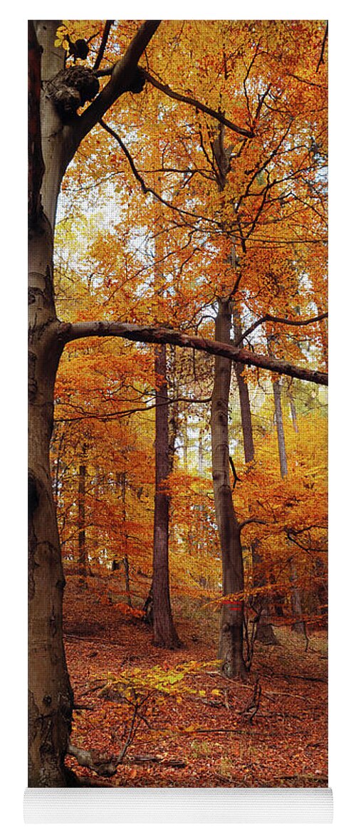 Jenny Rainbow Fine Art Photography Yoga Mat featuring the photograph Memory of the Trees by Jenny Rainbow
