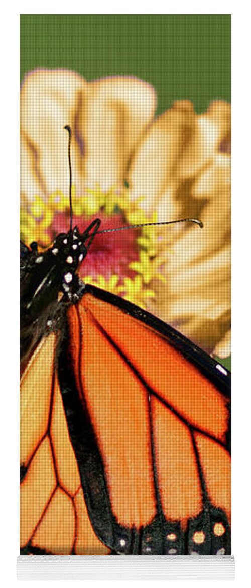 Butterfly Yoga Mat featuring the photograph Migrant Worker by Nikolyn McDonald