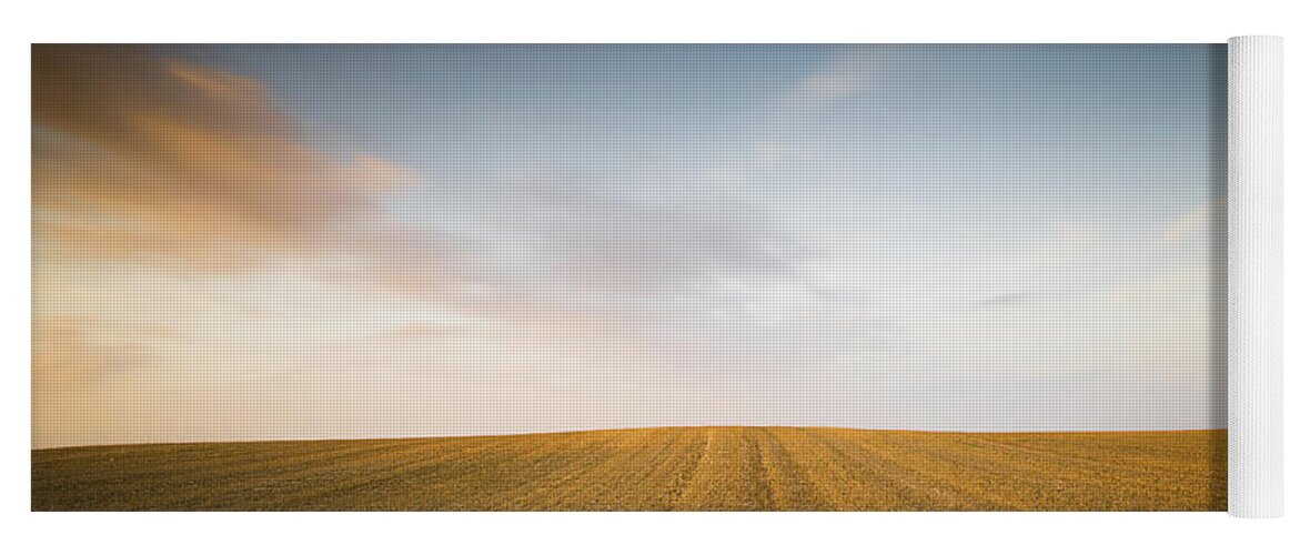 Sunset Yoga Mat featuring the photograph Minimalistic landscape with Meadow wheat field by Michalakis Ppalis