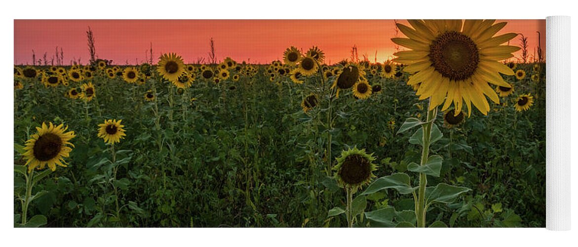 Sunset Yoga Mat featuring the photograph Missouri Sunset by Holly Ross