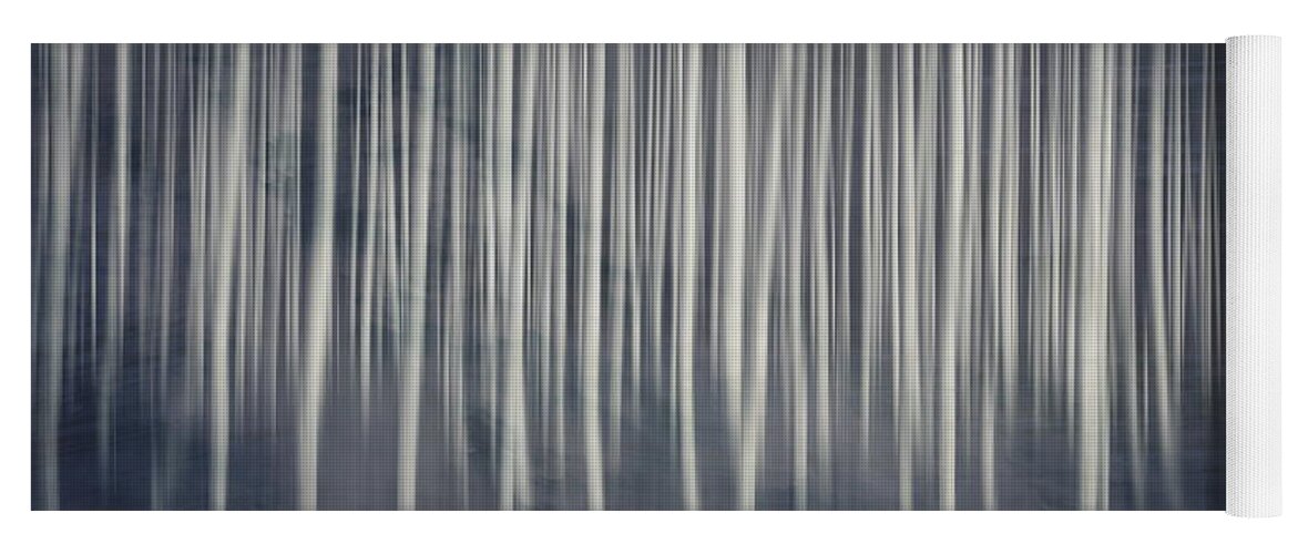 Mist Yoga Mat featuring the photograph Misty Birch Forest by Andrea Kollo